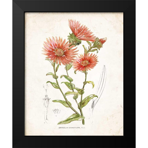 Botanical I Black Modern Wood Framed Art Print by Nan