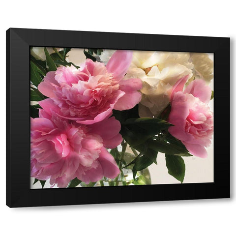 Fresh Cut Peonies Black Modern Wood Framed Art Print with Double Matting by Nan