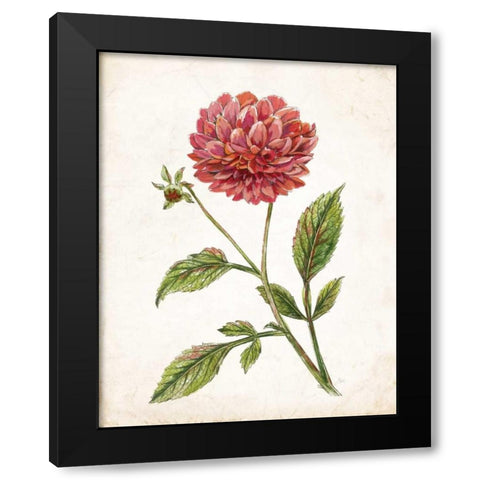 Scarlet Botanical I Black Modern Wood Framed Art Print with Double Matting by Nan