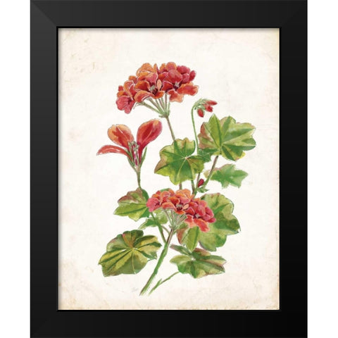 Scarlet Botanical II Black Modern Wood Framed Art Print by Nan