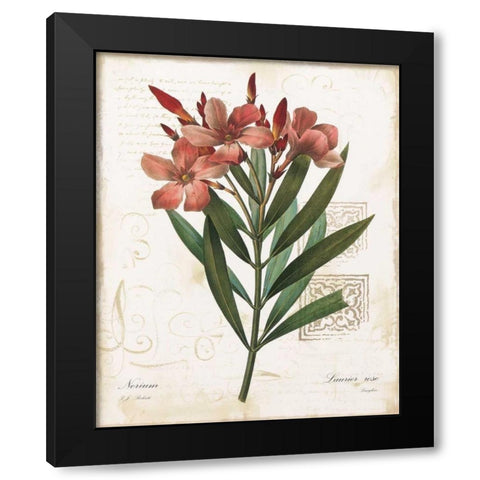 Laurier Rose Black Modern Wood Framed Art Print with Double Matting by Robinson, Carol
