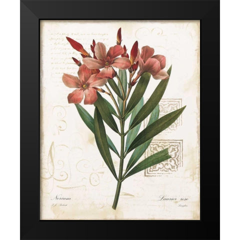 Laurier Rose Black Modern Wood Framed Art Print by Robinson, Carol