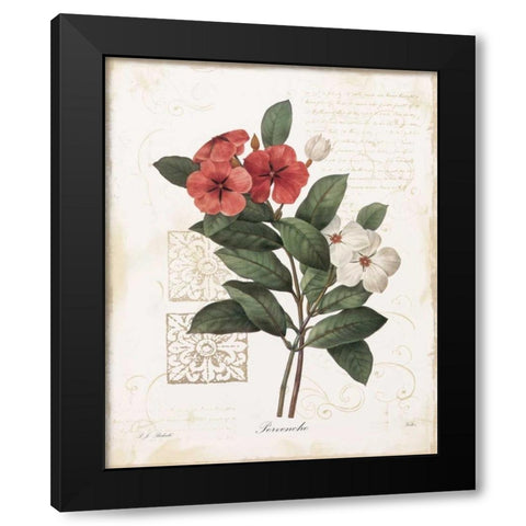 Pervenche Black Modern Wood Framed Art Print by Robinson, Carol