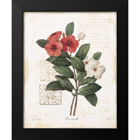 Pervenche Black Modern Wood Framed Art Print by Robinson, Carol