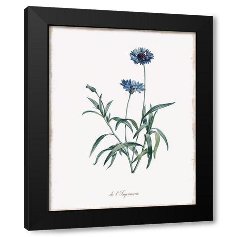 Imperial Blue Black Modern Wood Framed Art Print by Donovan, Kelly