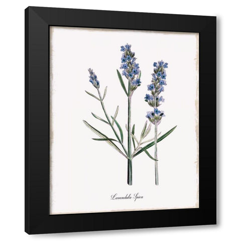 Lavender Black Modern Wood Framed Art Print by Donovan, Kelly