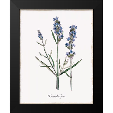 Lavender Black Modern Wood Framed Art Print by Donovan, Kelly