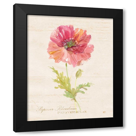 Botanical Poppy Black Modern Wood Framed Art Print by Robinson, Carol