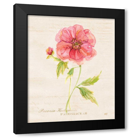 Botanical Peony Black Modern Wood Framed Art Print by Robinson, Carol