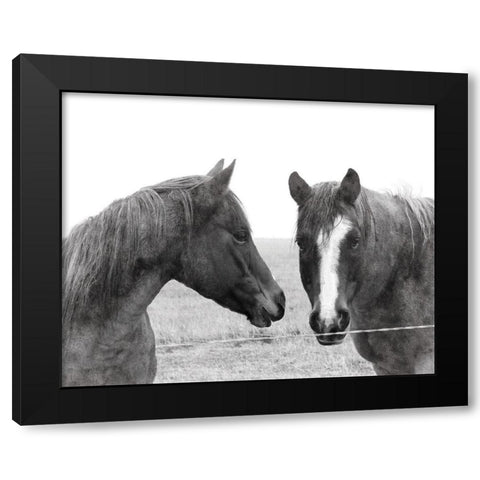 Wild Pastures Black Modern Wood Framed Art Print by Robinson, Carol