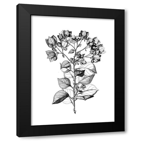Botanical Black and Black Modern Wood Framed Art Print with Double Matting by Donovan, Kelly