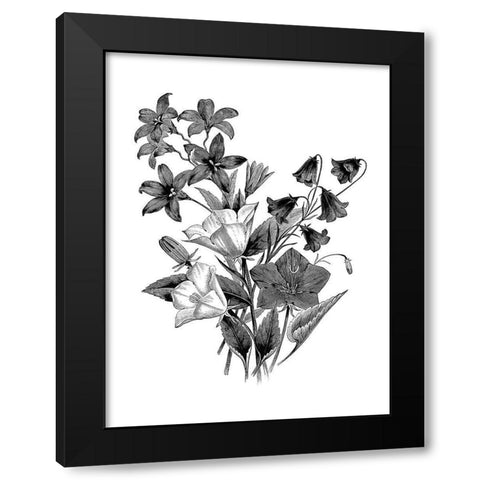 Botanical Black and Black Modern Wood Framed Art Print with Double Matting by Donovan, Kelly