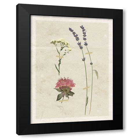 Pressed Lavender I Black Modern Wood Framed Art Print by Robinson, Carol