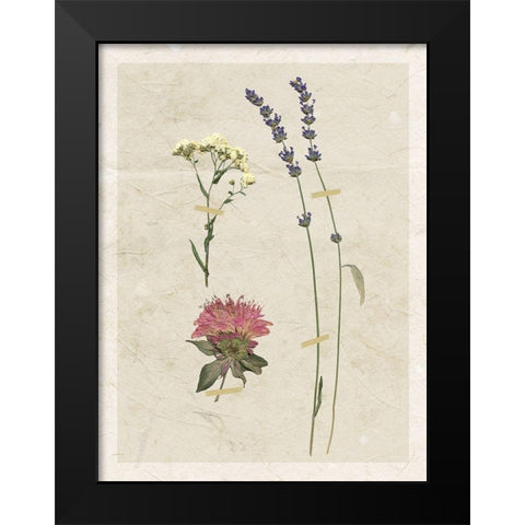 Pressed Lavender I Black Modern Wood Framed Art Print by Robinson, Carol