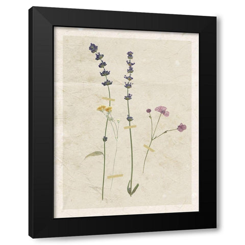 Pressed Lavender Black Modern Wood Framed Art Print with Double Matting by Robinson, Carol
