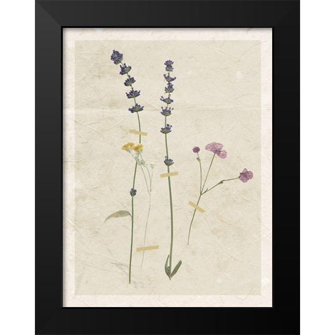 Pressed Lavender Black Modern Wood Framed Art Print by Robinson, Carol