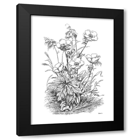 Botanical Black and Black Modern Wood Framed Art Print by Donovan, Kelly