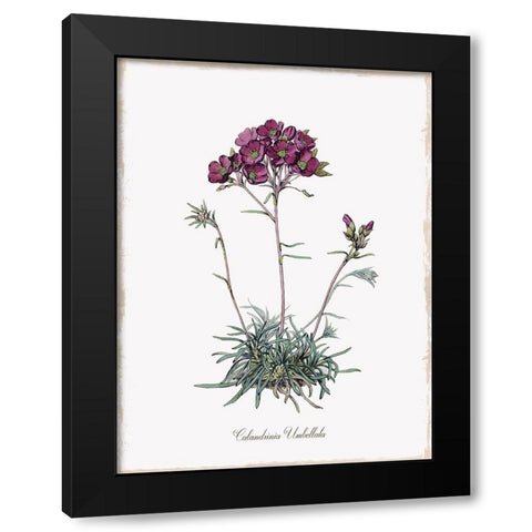 Botanical Black Modern Wood Framed Art Print by Donovan, Kelly