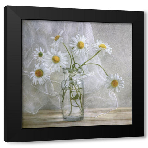 Daisies Black Modern Wood Framed Art Print by Disher, Mandy