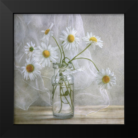 Daisies Black Modern Wood Framed Art Print by Disher, Mandy