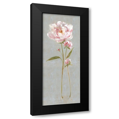 Peony Magic II Black Modern Wood Framed Art Print with Double Matting by Swatland, Sally
