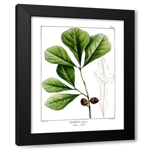 White Oak Black Modern Wood Framed Art Print by Donovan, Kelly