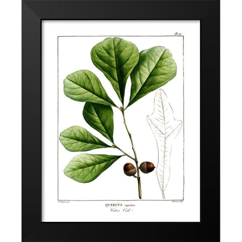 White Oak Black Modern Wood Framed Art Print by Donovan, Kelly
