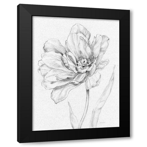 Tulip Sketch Black Modern Wood Framed Art Print by Robinson, Carol