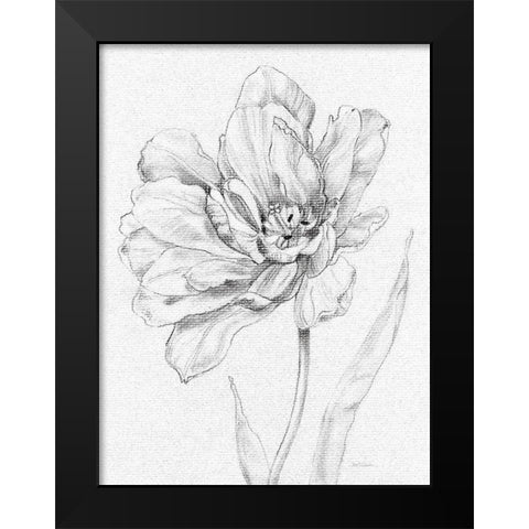 Tulip Sketch Black Modern Wood Framed Art Print by Robinson, Carol