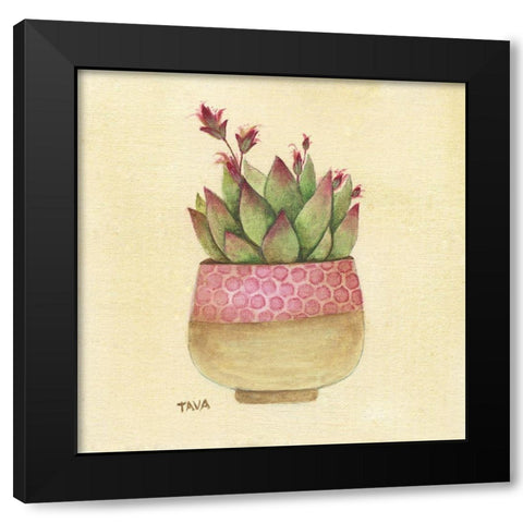 Flowering Succulent I Black Modern Wood Framed Art Print with Double Matting by Tava Studios