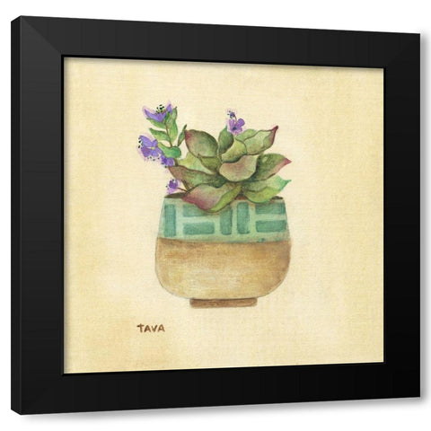Flowering Succulent II Black Modern Wood Framed Art Print with Double Matting by Tava Studios