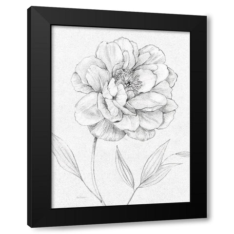 Peony Sketch Black Modern Wood Framed Art Print with Double Matting by Robinson, Carol