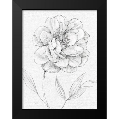 Peony Sketch Black Modern Wood Framed Art Print by Robinson, Carol