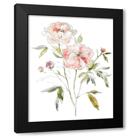 Sketchbook Cottage Rose I Black Modern Wood Framed Art Print with Double Matting by Robinson, Carol