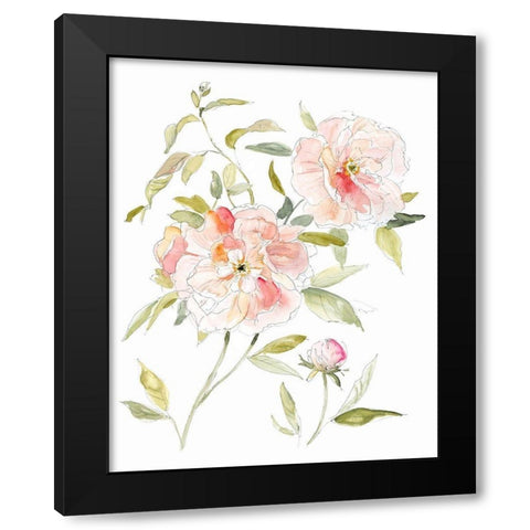 Sketchbook Cottage Rose II Black Modern Wood Framed Art Print with Double Matting by Robinson, Carol
