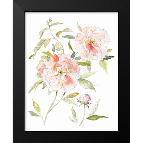 Sketchbook Cottage Rose II Black Modern Wood Framed Art Print by Robinson, Carol