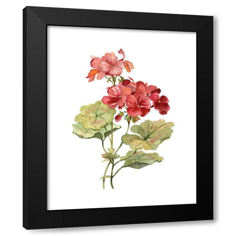 Scarlet Geranium Black Modern Wood Framed Art Print by Robinson, Carol