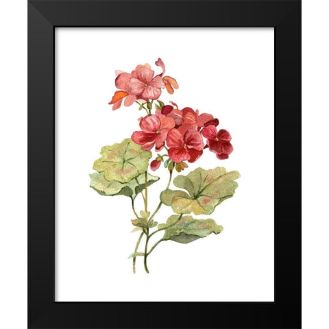 Scarlet Geranium Black Modern Wood Framed Art Print by Robinson, Carol