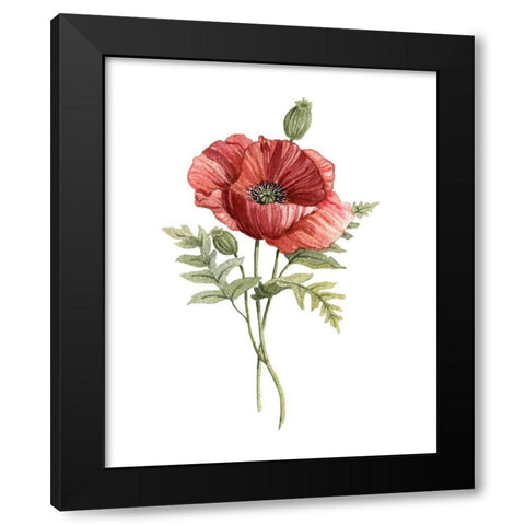Scarlet Poppy Black Modern Wood Framed Art Print with Double Matting by Robinson, Carol