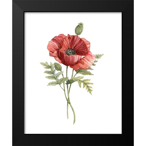 Scarlet Poppy Black Modern Wood Framed Art Print by Robinson, Carol