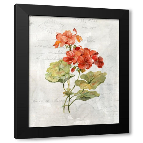 Linen Geranium Black Modern Wood Framed Art Print with Double Matting by Robinson, Carol