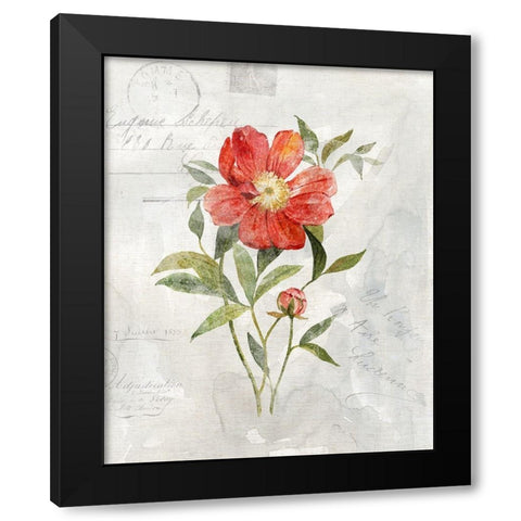 Linen Peony Black Modern Wood Framed Art Print with Double Matting by Robinson, Carol