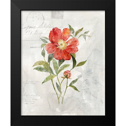 Linen Peony Black Modern Wood Framed Art Print by Robinson, Carol