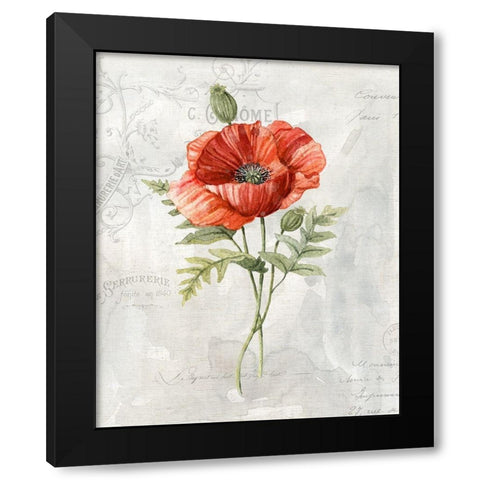 Linen Poppy Black Modern Wood Framed Art Print with Double Matting by Robinson, Carol
