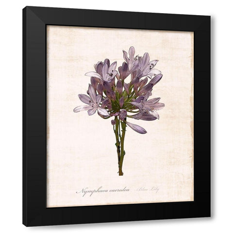 Sketchbook Lily Black Modern Wood Framed Art Print by Carpentieri, Natalie