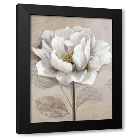 Soft White II Black Modern Wood Framed Art Print by Nan