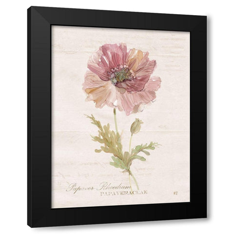 Soft Poppy Black Modern Wood Framed Art Print with Double Matting by Robinson, Carol