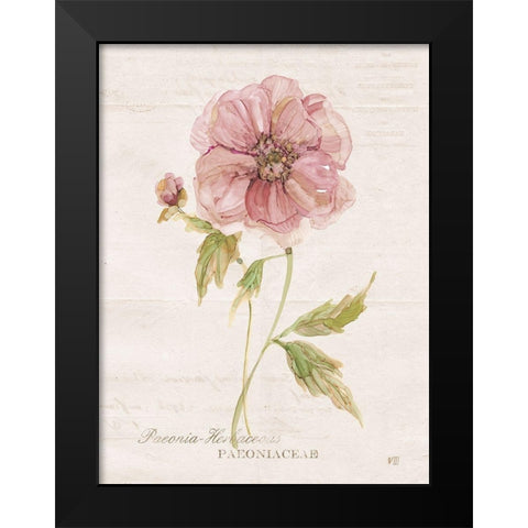 Soft Peony Black Modern Wood Framed Art Print by Robinson, Carol
