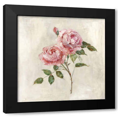 Botanical Beauties I Black Modern Wood Framed Art Print with Double Matting by Swatland, Sally