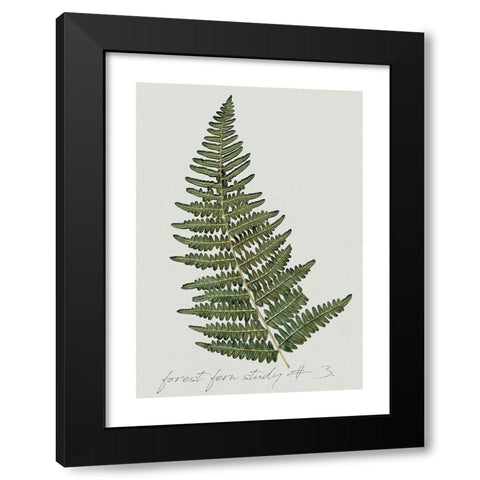 Fern Studies I Black Modern Wood Framed Art Print with Double Matting by Robinson, Carol